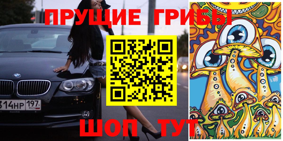 Галлюциногенные грибы прущие грибы Кисловодск